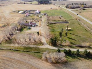 Photo 22: 26417 Meadowview Drive: Rural Sturgeon County House for sale : MLS®# E4264604