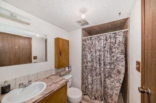 Photo 19: 1028 Mckinnon Drive NE in Calgary: Mayland Heights Detached for sale : MLS®# A2127341