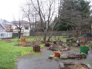 Photo 7: 68 E 26TH Avenue in Vancouver: Main House for sale in "Main Street" (Vancouver East)  : MLS®# V1051244
