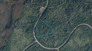 Main Photo: 99 Soonul Lane in Clam Bay: 35-Halifax County East Vacant Land for sale (Halifax-Dartmouth)  : MLS®# 202406019