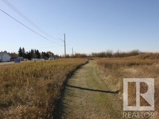 Photo 9: 6003 49 Street: Tofield Vacant Lot for sale : MLS®# E4265967
