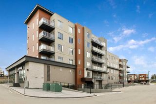 Main Photo: 313 71 Shawnee Common SW in Calgary: Shawnee Slopes Apartment for sale : MLS®# A2129027