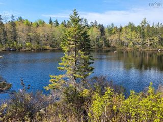 Photo 2: Lot 12 Virginia Road in West Springhill: Annapolis County Vacant Land for sale (Annapolis Valley)  : MLS®# 202211972