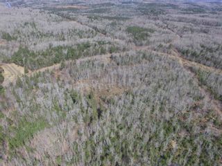 Photo 8: Lot Black River Road in Black River: Kings County Vacant Land for sale (Annapolis Valley)  : MLS®# 202406595