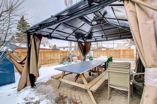 Photo 40: 4727 19 Avenue SE in Calgary: Forest Lawn Semi Detached for sale : MLS®# A1190870