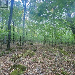 Photo 4: Lot 82 Sparkling Spring Lane in Labelle: Vacant Land for sale : MLS®# 202306324