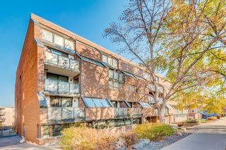 Photo 2: 405 824 Royal Avenue SW in Calgary: Lower Mount Royal Apartment for sale : MLS®# A2041793