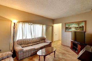 Photo 11: 34012 Oxford Ave in Abbotsford: Central Abbotsford House for sale : MLS®#  R2136959
