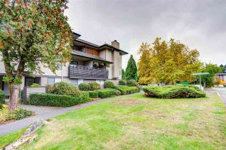 Photo 1: 10594 HOLLY PARK Lane in Surrey: Guildford Townhouse for sale in "Holly Park" (North Surrey)  : MLS®# R2413276