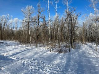 Photo 2: 15 Poplar Street in Roseau River: Vacant Land for sale : MLS®# 202401065