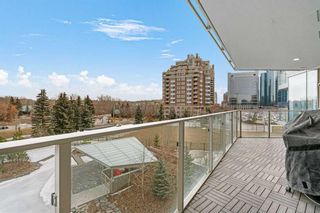 Photo 25: 406 738 1 Avenue SW in Calgary: Eau Claire Apartment for sale : MLS®# A2116313