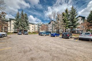 Main Photo: 118 20 Dover Point SE in Calgary: Dover Apartment for sale : MLS®# A2124249