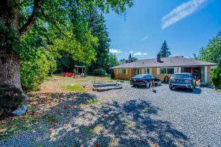 Photo 9: 24628 RIVER Road in Maple Ridge: Albion Industrial for sale : MLS®# C8053886