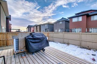 Photo 38: 21 Saddlestone Park NE in Calgary: Saddle Ridge Detached for sale : MLS®# A2052475