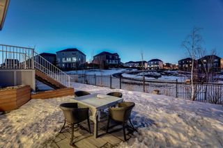 Photo 44: 283 Stonemere Green: Chestermere Detached for sale : MLS®# C4233917