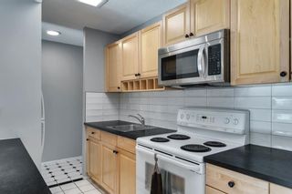 Photo 13: 307 903 19 Avenue SW in Calgary: Lower Mount Royal Apartment for sale : MLS®# A1152500