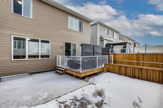 Photo 24: 59 Osborne Common SW: Airdrie Detached for sale : MLS®# A2019867