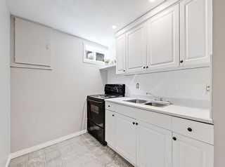 Photo 22: 39 Deermont Place SE in Calgary: Deer Ridge Detached for sale : MLS®# A1243475