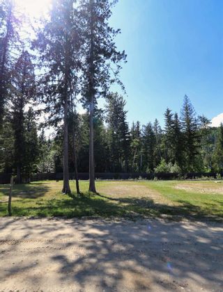 Photo 3: Site 2 1701  Ireland Road in Seymour Arm: Recreational for sale : MLS®# 10310469