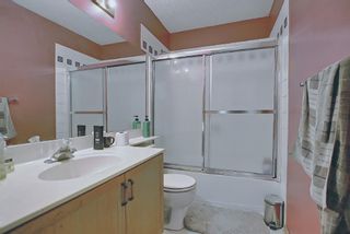 Photo 19: 786 Coral Springs Boulevard NE in Calgary: Coral Springs Detached for sale : MLS®# A1113388