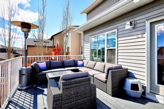 Photo 43: 45 Brightoncrest Heights SE in Calgary: New Brighton Detached for sale : MLS®# A1204365