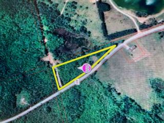 Photo 11: 259 County Rd 41 Road in Kawartha Lakes: Rural Bexley Property for sale : MLS®# X5210398