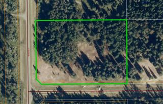 Photo 6: 10 53018 Range Road 175 in Rural Yellowhead County: Rural Yellowhead Residential Land for sale : MLS®# A1246084