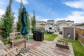 Photo 27: 2391 Sagewood Gate SW: Airdrie Detached for sale : MLS®# A2142288