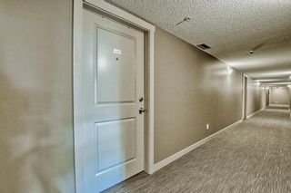 Photo 44: 409 20 Kincora Glen Park NW in Calgary: Kincora Apartment for sale : MLS®# A2037655