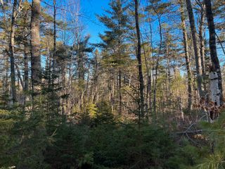 Photo 4: Lot 25 Pine Island Drive in Labelle: 406-Queens County Vacant Land for sale (South Shore)  : MLS®# 202302796
