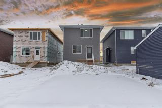 Photo 34: 124 Chelsea Glen: Chestermere Detached for sale : MLS®# A2014297
