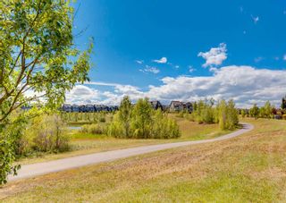 Photo 47: 107 Marquis Grove SE in Calgary: Mahogany Detached for sale : MLS®# A2066840