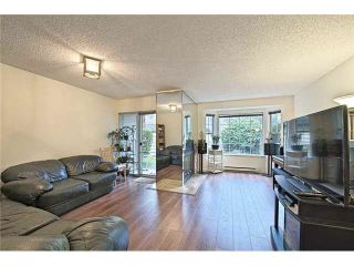 Photo 6: 23 7611 MOFFATT Road in Richmond: Brighouse South Townhouse for sale : MLS®# R2868149