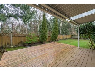 Photo 28: 10568 BIRCHTREE Grove in Surrey: Fraser Heights House for sale (North Surrey)  : MLS®# R2643960