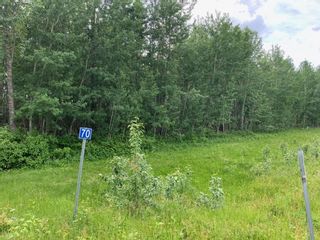 Photo 3: 70 47411 RR14: Rural Leduc County Rural Land/Vacant Lot for sale : MLS®# E4273719