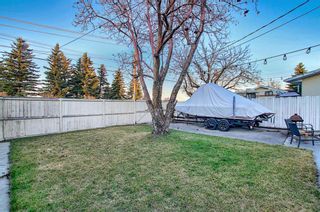 Photo 33: 52 Maple Court Crescent SE in Calgary: Maple Ridge Detached for sale : MLS®# A1092001