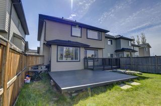 Photo 39: 534 Kincora Drive NW in Calgary: Kincora Detached for sale : MLS®# A1223042