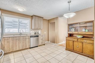 Photo 11: 4220 Maryvale Drive NE in Calgary: Marlborough Detached for sale : MLS®# A2027975