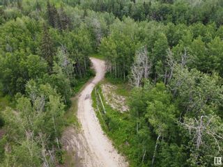 Photo 10: highway 13A 780: Rural Wetaskiwin County Rural Land/Vacant Lot for sale : MLS®# E4302251
