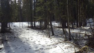 Photo 28: 360085 214 Avenue W: Rural Foothills County Residential Land for sale : MLS®# A1149106