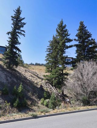 Photo 5: 1668 Balsam  Place in Kamloops: Juniper Ridge West Land Only for sale : MLS®# 177185