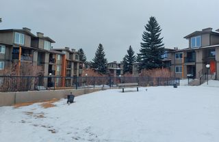 Photo 5: 524 6400 Coach Hill Road SW in Calgary: Coach Hill Apartment for sale : MLS®# A1191968