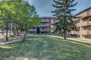 Photo 26: 914 11620 Elbow Drive SW in Calgary: Canyon Meadows Apartment for sale : MLS®# A2003502