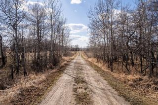 Photo 38: 34551 Range Road 12: Rural Red Deer County Detached for sale : MLS®# A2125667