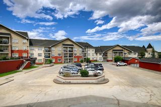 Photo 10: 355 26 Val Gardena View SW in Calgary: Springbank Hill Apartment for sale : MLS®# A1239073