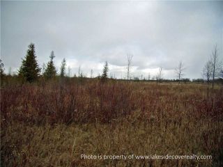 Photo 8: 2489 Concession Road 3 Road in Ramara: Brechin Property for sale : MLS®# X3371303