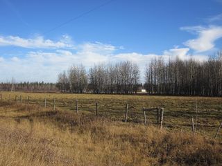 Photo 34: NW 24-54 RR 131: Niton Junction Rural Land for sale (Edson)  : MLS®# 32590
