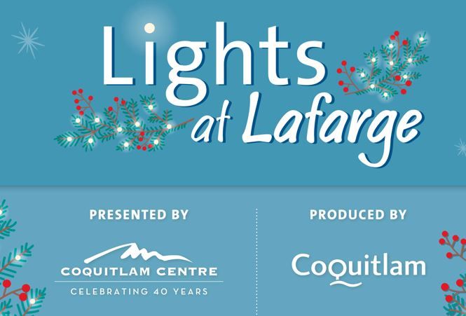 Visit the Magical Christmas Lights at Lafarge Lake