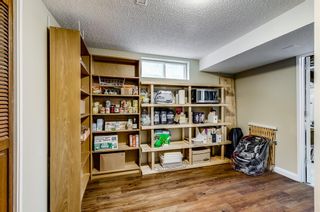 Photo 30: 115 Parkview Green SE in Calgary: Parkland Detached for sale : MLS®# A2018777