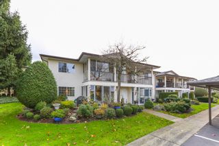 Photo 1: 63 6467 197 Street in Langley: Willoughby Heights Townhouse for sale in "Willow Park Estates" : MLS®# R2016351